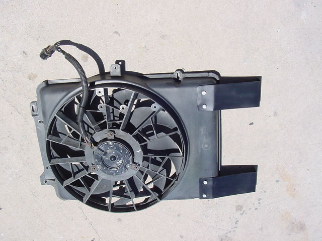 Electric Fan